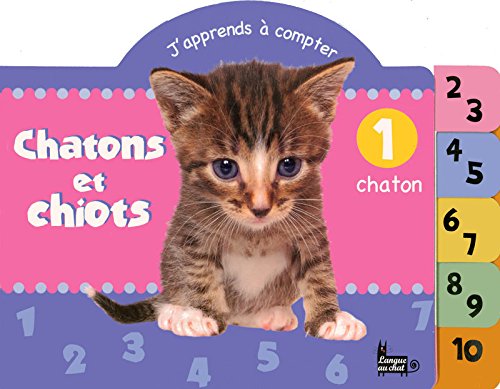Chatons et chiots