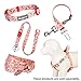 Blueberry Pet 7 Patterns Spring Scent Inspired Pink Dog Collar, Medium, Neck 14.5