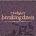 Twilight Breaking Dawn Party Napkins - Twilight Movie Beverage Napkins