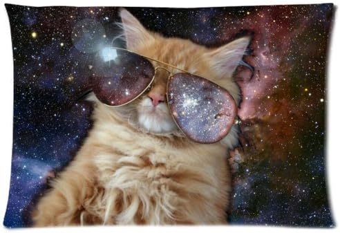 Hot Home Star Galaxy Outer Space Nebula Cool Cat Throw Pillow Case Decorative Cushion Cover Pillowcase 20*30 inches (two sides) Zippered for Sofa