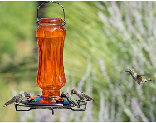 Perky Pet Carnival Glass Vintage Oriole Feeder Buy Online At Best