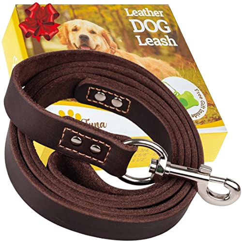 ADITYNA Leather Dog Leash