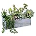 Supla 6 Assorted Fake Succulents Plants Picks Textured Artificial Succulents Unpotted Pick Succulent Stems Fake Succulent Bouquet String of Pearls Succulent Faux Succulent Floral Wall Art