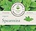 Traditional Medicinals Tea, Organic Spearmint, Supports Everyday Wellness, Healthy & Refreshing, 16 Tea Bags