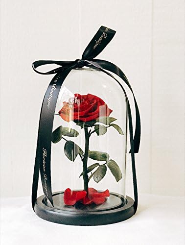 "Enchanted Rose", 100% Real Preserved Rose In Glass Dome That Will Last 3 Years, Beauty And The Beast rose, forever rose, eternal rose, preserved rose, Mother's Day gift, Hot Item 2018