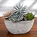 MyGift 7-Inch Assorted Artificial Succulent Plants in Rustic Textured Pulp Pot