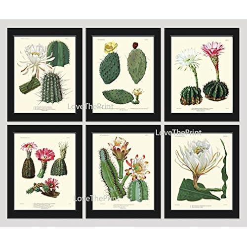 Desert Wall Art: Amazon.com