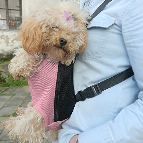 Ennc Portable Pet Backpack/Carrier