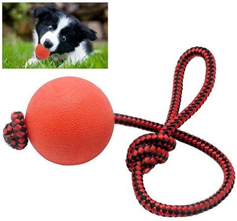 dog chew ball