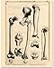 Hip and Leg Bones Book Print - Vintage Human Bones Anatomy Decor, Science Lab Wall Prints, Classic Medical Orthopedic and Nursing Student Gift, 11x14 Unframed Art Print Poster