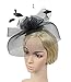 Urban CoCo Women's Elegant Flower Feather and Veil Fascinator Cocktail Party Hair Clip Hat (Black)