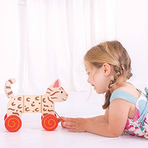 Bigjigs Toys Cat Pull Along