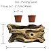 Window Garden Natural Elements Log Planter (Branch) – Realistic Woodland-Themed with Intricate Weathered bark Detail. Grow Small Succulents, Cactus, African Violets. Striking in Any décor.