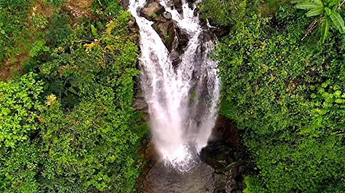 Tropical Cascades - 2 DVD Set of Waterfalls - 2 Hours of Tropical Waterfalls From Around the World w - //coolthings.us