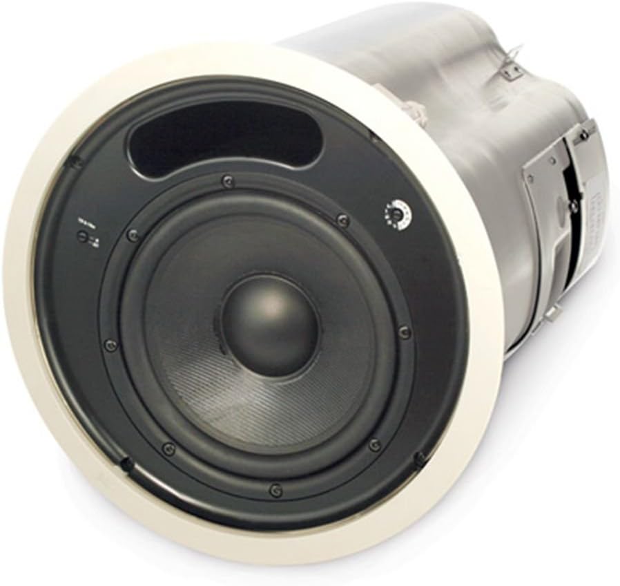 ceiling mounted subwoofer