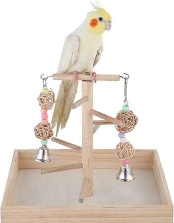 cockatiel perch stand