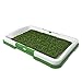 Artificial Grass Pee Pad Set for Dogs (Synthetic Plastic Grass) - Reusable Puppy Essential for Potty Training Small Pets Indoors and Outdoors by PETMAKER (Green)