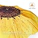 Plemo Automatic Umbrella, Folding Umbrella Windproof with Sunflower Pattern, Anti-Slip Rubberized Grip, 11.5 Inch Compact and Lightweight for Business and Travels, Wedding, Gifts, Yellow