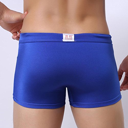 New!Todaies☞Sexy Men's Boxer Briefs Swimming Swim Shorts Trunks Beach Pants 6 Colors (M, Blue)
