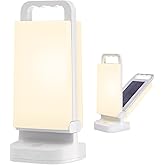 Solar Camping Lantern, Rechargeable Battery Powered Camping Light 6000mAh Up to 80HRS Lasting, Dimmable Night Lamp, Survival gear for Emergency, Power Outages, Outdoor, Indoor