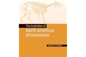 The Evolution of North American Rhinoceroses