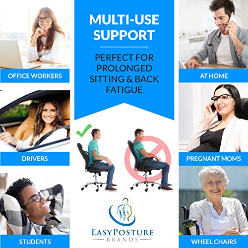 Easy Posture Lumbar Support (New Double Premium Mesh w/Adjustable Lock