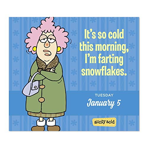 2021 Aunty Acid YearInABox Calendar (LMB2620021) Pricepulse