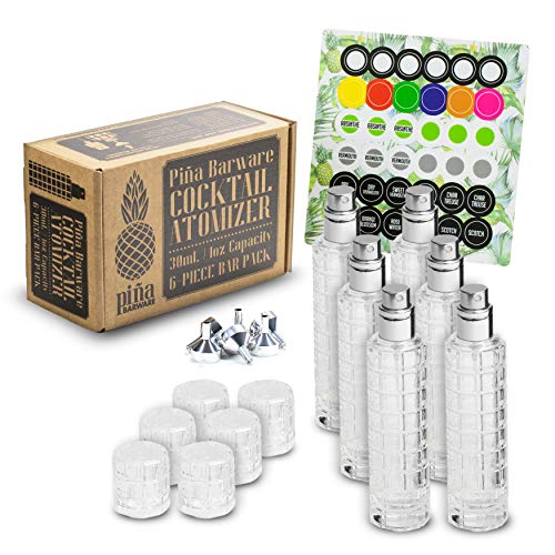 PiÃ±a Barware Glass Cocktail & Martini Atomizer/Spray Bottle (6-Pack/Commercial Bar Pack - Silver)