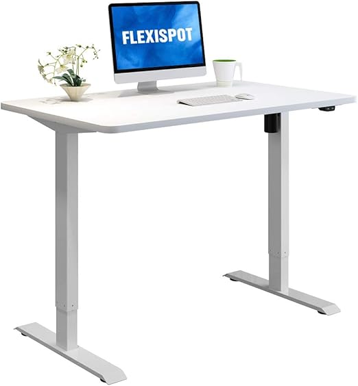 flexispot home office standing desk
