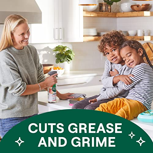 Seventh Generation All Purpose Cleaner, Fresh Morning Meadow Scent