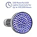 Black Light UV Flashlight 100 LED Blacklight Premium Handheld Ultraviolet Pet Dog and Cat Urine Stain Finder Detects Human Fluids, Counterfeit Money, Bed Bugs Scorpions & Leaks - Arf Pets