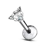 Forbidden Body Jewelry 16 g Titanium Internally
