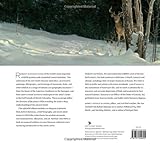 Image de Bateman: New Works