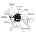 Service Dog Harness With Detachable Backpacks & Patches, and Handle | Available In 7 Sizes From Small to Extra Large | Vest Features Reflective Patch and Comfortable Mesh Design From Industrial Puppy