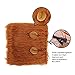 DIBBATU Lion Mane Costume Lion Mane Wig for Large/Medium Dogs Halloween Fancy Hair, Brown