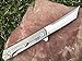 TACTICAL GEARZ TG Saint T, Tc4 Titanium EDC Folding Knife w/Sheath! Ball Bearing System, Razor Sharp CPM-D2 Steel Blade! (Saint T)