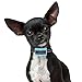 Our K9 Training Made Easy - Bark Collar Vibration Using Sound & Vibration or Ultrasonic & Vibration. 100% Pain-Free - 100% Safe