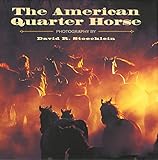 American Quarter Horse by 