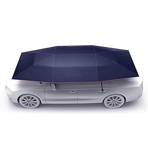 Parapluie de voiture Artpixel