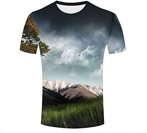 Mens Casual 3D Print Wild Grass/Snow Mountain/Dark Clouds Pattern Summer Short Sleeve Crew Neck T-Shirts Novelty Couple Tees XXXL