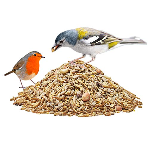 Paul´s Mühle Wildvogelfutter, Vogelfutter für Wildvögel, Deluxe Katze