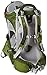 Osprey Packs Poco AG Premium Child Carrier, Ivy Green