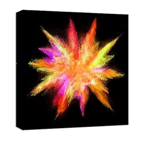 signwin Canvas Wall Art Colorful Powder Canvas Prints...