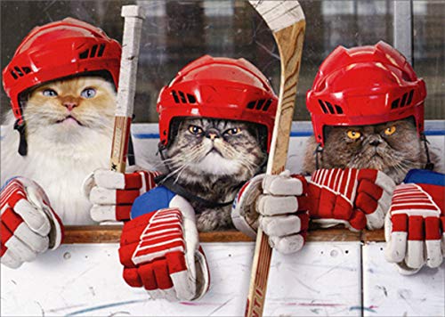 Hockey Cats - Avanti Funny/Humorous Birthday Card