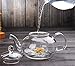 Tortoise I.T. 1000ml Clear Glass Teapot with Glass Infuser and Glass Lid for Tea Leaf Loose Tea 33.8oz
