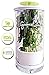 Glass Herb Keeper - Anti-leakage fresh herb container - Free paleo recipe eBook - Herb storage holder keeps herbs fresh and green for up to 2 Weeks