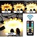 Palawell Outdoor Dimmer, 260W LED String Light Dimmer Remote Control, 100ft Range, Timmer Switch, Black