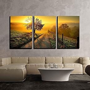 3 Piece Canvas Wall Art - Idyllic Rural Landscape on a Hill with a Tree on a Meadow at Sunrise - Modern Home Art Stretched and Framed Ready to Hang - 16"x24"x3 Panels
