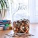 Velucio Glass Money Jar - Holds Over $2,500 in Coins!