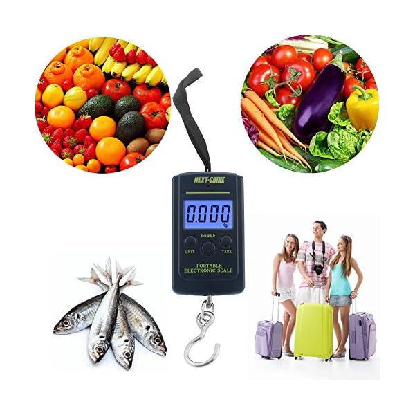 Next-shine-Electronic-Digital-HangingFishLuggageKitchen-Scale-001-lb0005kg-Dark-Blue